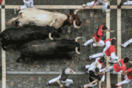 Imagen Encierros San Sebastián de los Reyes