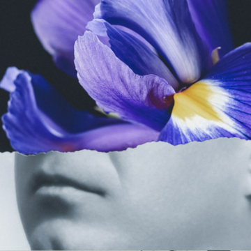 Imagen Iris, en el Teatro Real