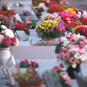 Imagen Día de todos los Santos